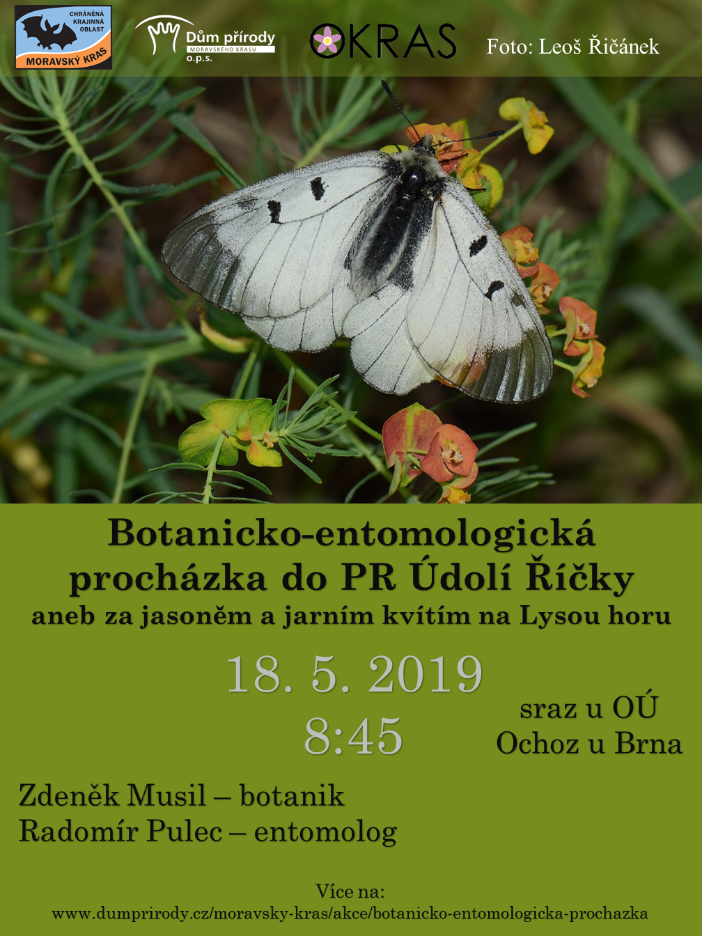 Pozvánka na botanicko-entomologickou procházku Moravským krasem