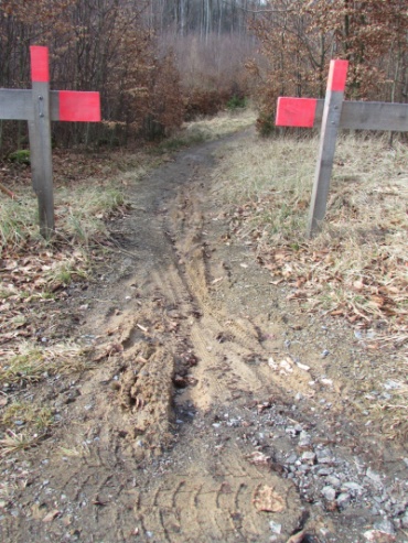 Singletrail Moravský kras - stezka po zimě před úpravou