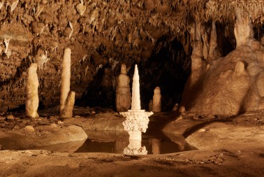 Svícen - nejvzácnější krápník Sloupsko-šošůvských jeskyní