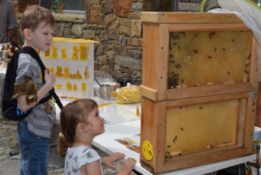 Včelí plástev na jarmarku v Domě přírody