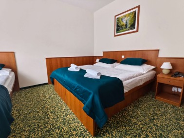 Třílůžkový pokoj hotelu Skalní mlýn